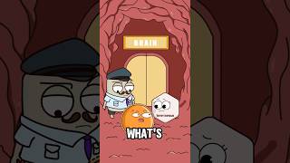 Download lagu Mengapa Kamu Merasa Mengantuk Setelah Makan? #shorts #animation #webtoon mp3