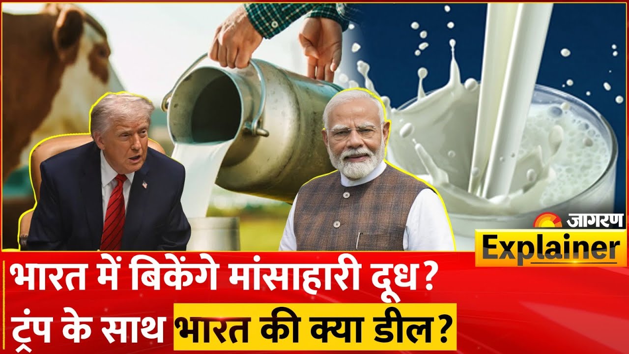 American Dairy Products in India: भारत और अमेरिका के बीच क्या डील हुई? Donald Trump। PM Modi