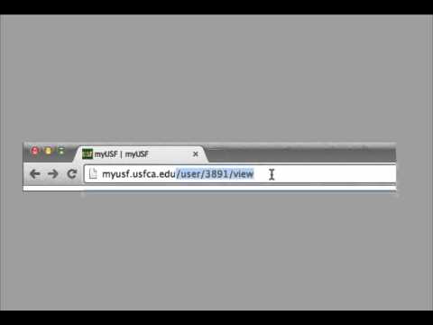Login To Canvas Myusf