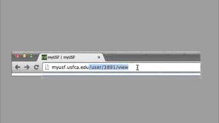 Login to Canvas myusf