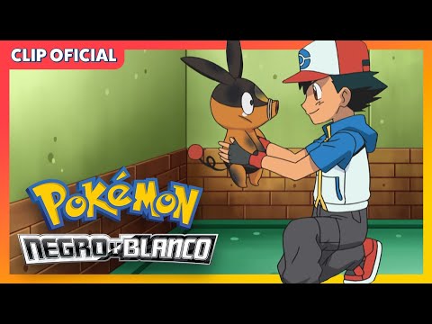 ¿Un sistema de distribución Pokémon? | Pokémon Negro y Blanco | Clip oficial