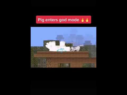 Pig entering god mode (Pig Vs Witch) Intense Battle