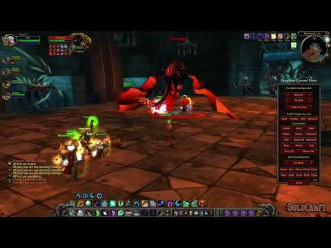 SoloCraft.org - Flamegor Solo Kill