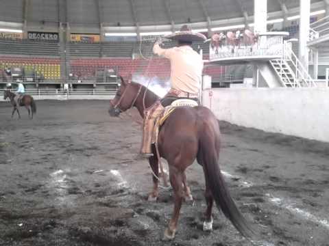 pial pepe ortiz pialadero juan colorado primer lugar 01052011