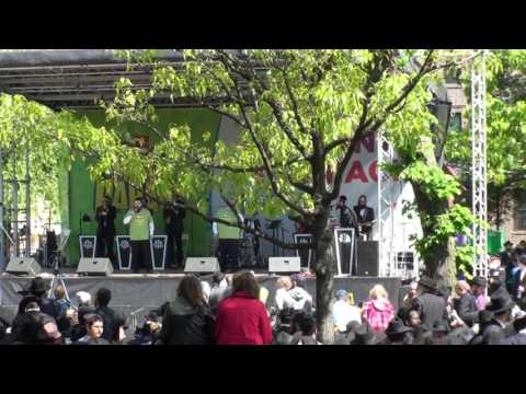 Lag Baomer Parade 5777  4