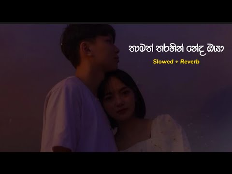 තාමත් තරහින් නේද ඔයා ( Thamath tharahin neda oya ) Slowed + Reverb @shortlyrics546