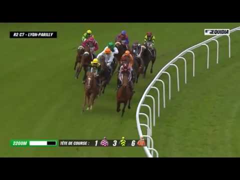 Djaouad- Lyon-Parilly 3-Y-O Flat Race (Features Willie Mullins horse Icario) [19/05/16]
