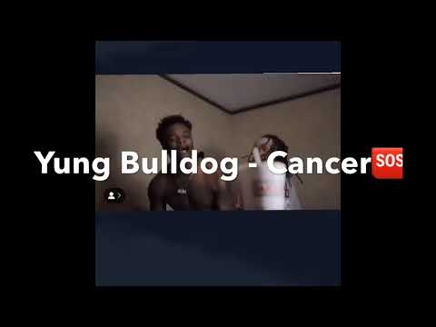Yung Bulldog {90sBaby} - Cancer