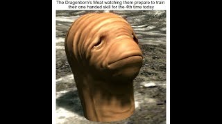 Vinesauce - Meat Skyrim follower