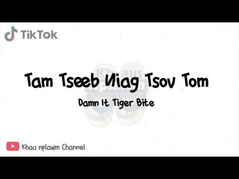 Tam Tseeb Niag Tsov Tom remix  [Khau nplawm Remix]
