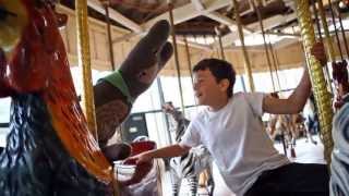 Tell Me It All  / / frances england