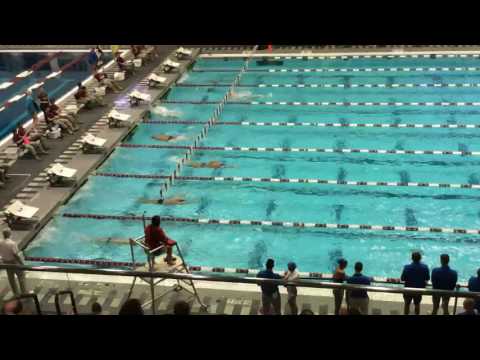 2016 Florida vs A&M Men's 500 Free