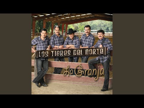 Minita de oro - Los Tigres Del Norte