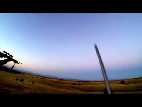 Boar Hunting 2 Pigs down with 1 shot GoPro Hero 3 Black