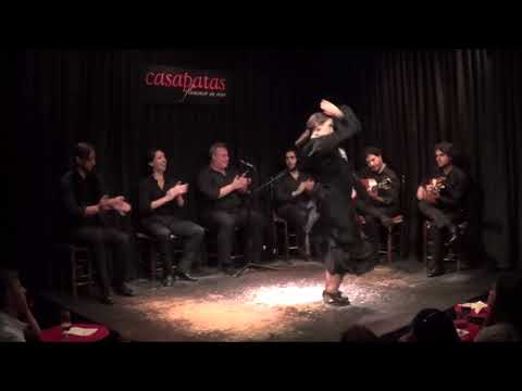 ISABEL RODRÍGUEZ "CASA PATAS"