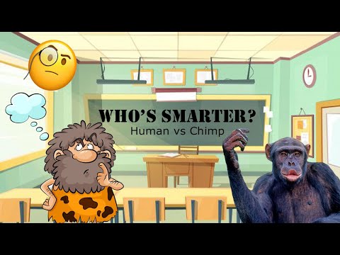 ARE HUMAN DUMBER THAN CHIMPANZEES? | Human Benchmark