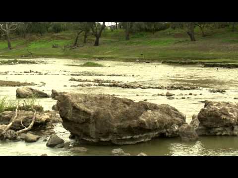 魚のトラップ - デイブ博士と (Fish traps - with Dr. Dave)