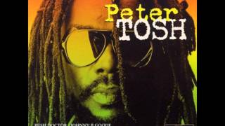 Peter Tosh - In My Song