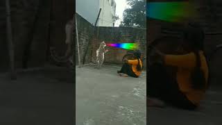how my editing video