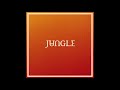 Jungle - Candle Flame (feat. Erick The Architect) (432hz)