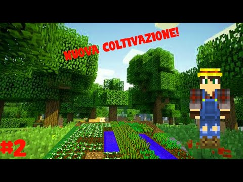 ECCO LA MIA NUOVA COLTIVAZIONE SU MINECRAFT - SerieSenzaunNone #2