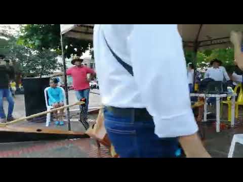 Instrumental Llanero