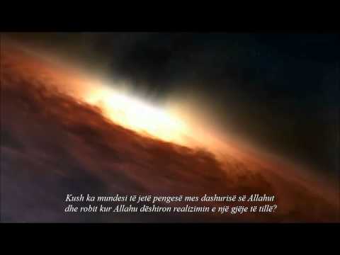 Dashuria e Allahut për robin e Tij - Shejh Shenkiti