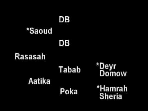 Rasasah foals by *Raffles