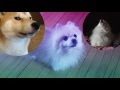https://www.youtube.com/watch?v=Qa7Rf4tc4wQ