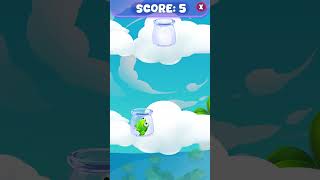Frog video preview