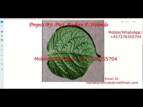 Python Code For Potato Leaf Disease Using Neural Network Cnn With Source Code