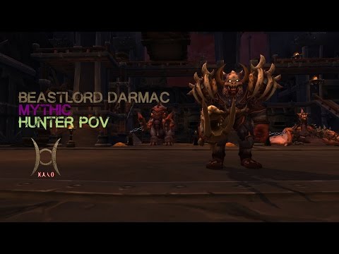 H A L O vs Beastlord Darmac (Mythic - Hunter PoV)