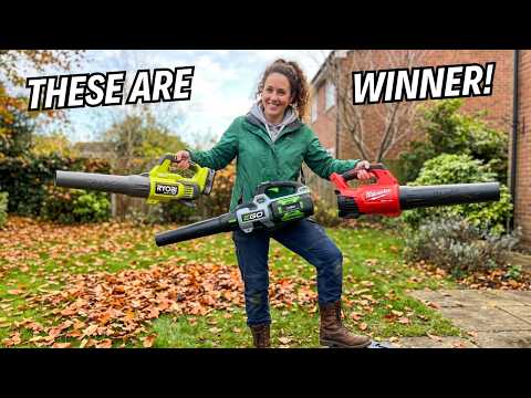 6 Best Electric Leaf Blowers of 2026 (Cordless & Powerful!)