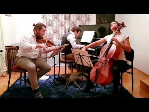 A. Dvořák: Piano Trio in e minor op. 90 'Dumky' (I-III), Lockdown with Trio Bohémo