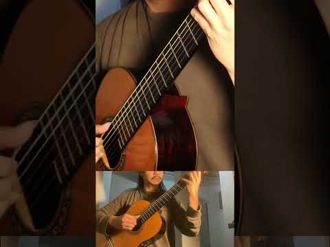 Cirandeiro - Elcio Dias