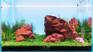 Choosing Plants for Aquascaping in 3 Easy Steps!