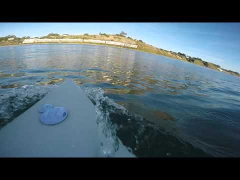 Great White Shark Encounter Surfing in Santa Cruz, CA