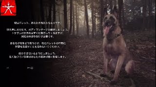 『BLAIR WITCH』＃１【軽量版】