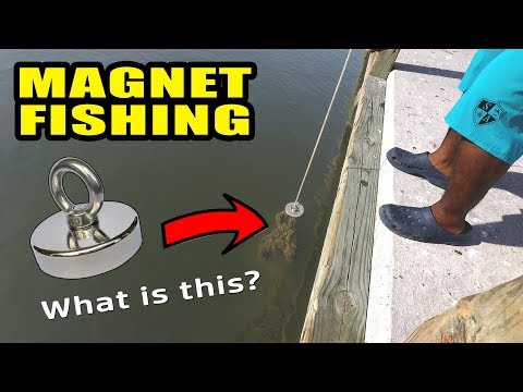 Magnet Fishing Marinas for Lost Treasure - What Did We Find?