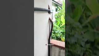 Download lagu buleh nyor kito arini 🤣 mp3