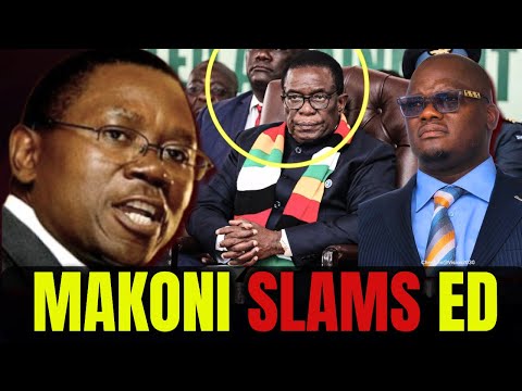 Simba Makoni’s EXPLOSIVE ATTACK on Mnangagwa, Tagwirei & CO! Tungwarara BOOTED Out!