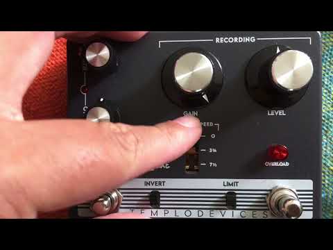 KORG Monologue + TEMPLO DEVICES REELDEALUXE - Left channel only