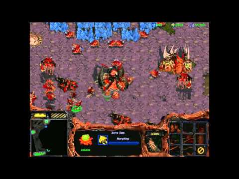 Starcraft 1: Retribution - Zerg 11 - The Battle of Char