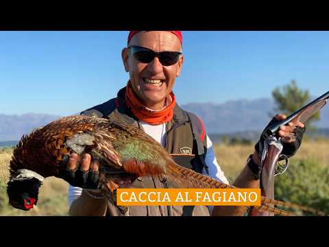 caccia-al-fagiano: Attacco al fagiano. Piccolo manuale per il cacciatore. 