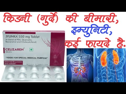 CELIZAREN JYUNKA 550MG