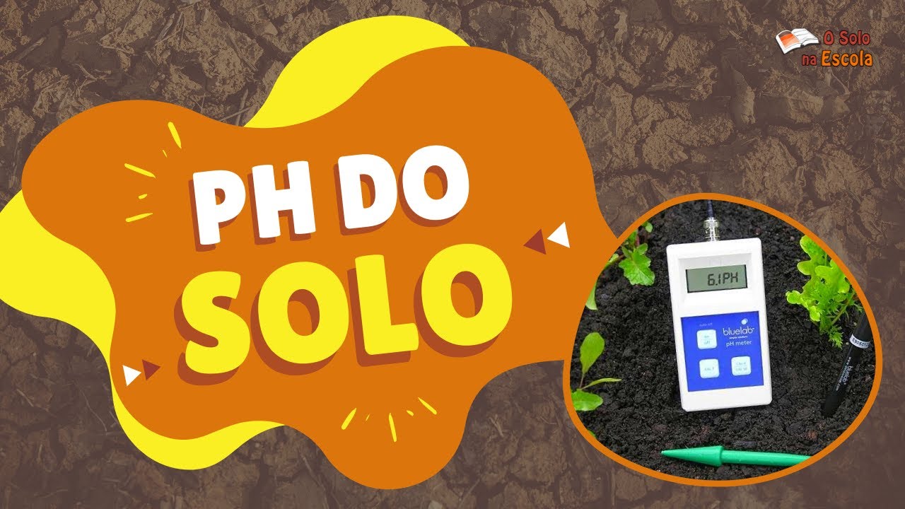 Solo na Escola - PH do Solo (23/11/16)