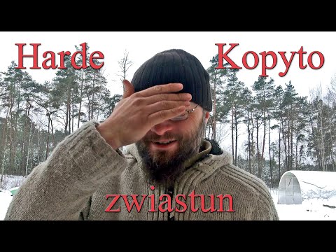 Harde Kopyto - zapowiedź