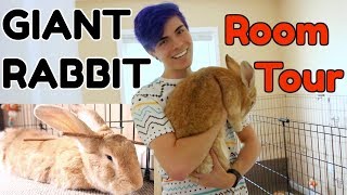 Rabbit Room Tour! (for a GIANT Rabbit) by Tyler Rugge