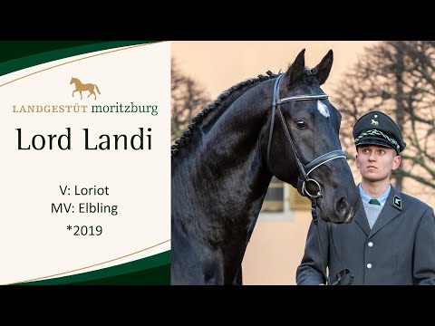 LORD LANDI v. Loriot - Elbling