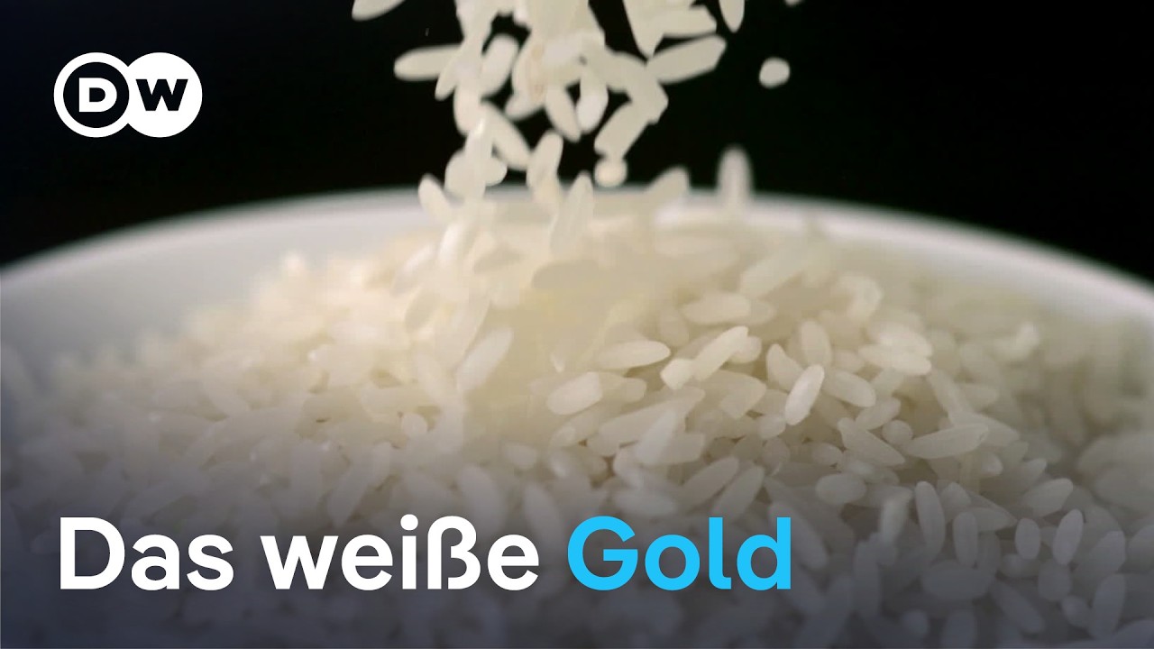 Wem gehört Basmati? EU vor schwieriger Entscheidung